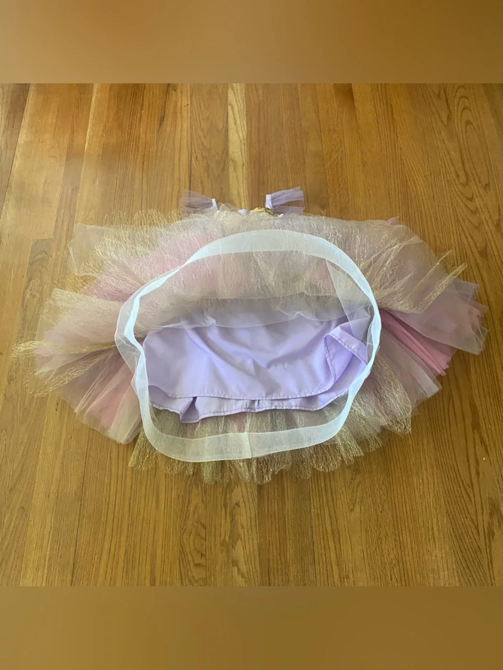 Pottery Barn Kids Pink and Gold Tulle Butterfly Costume